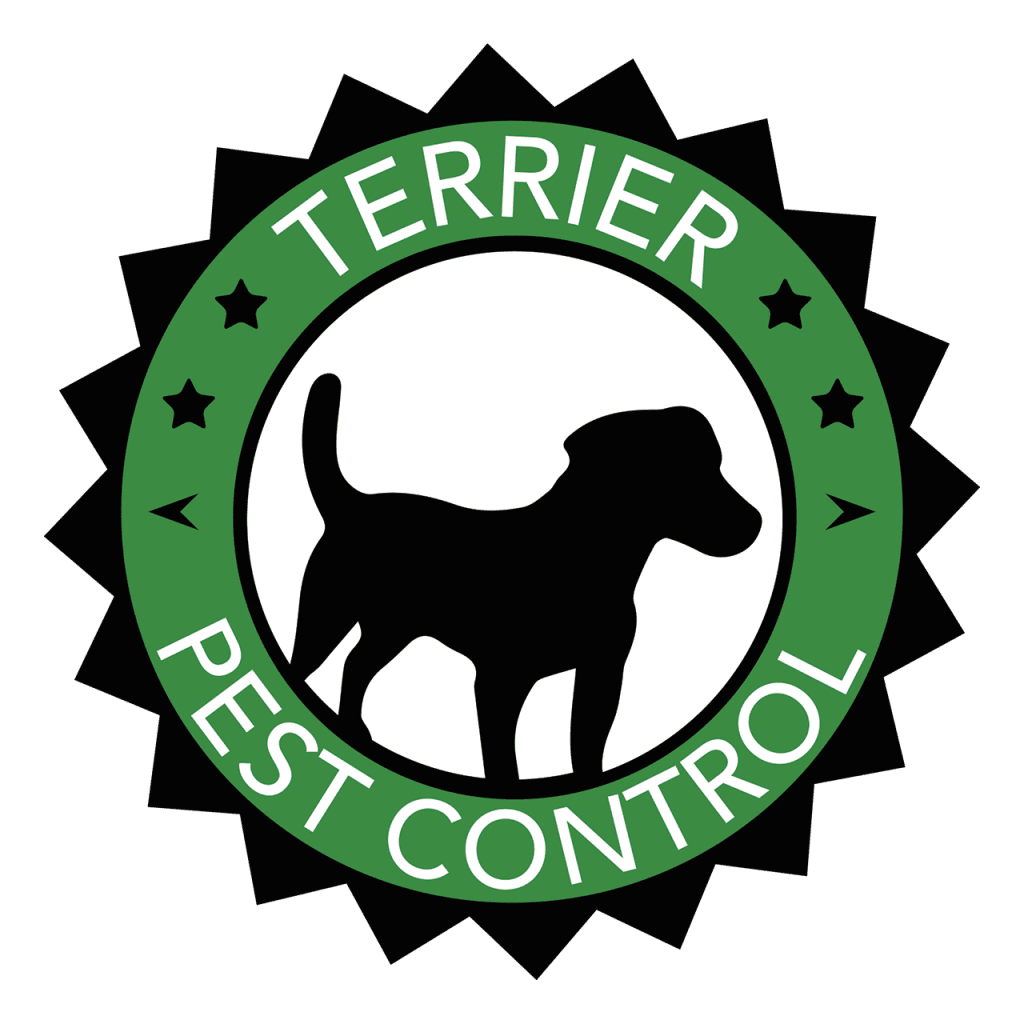 Pest Control Belfast
